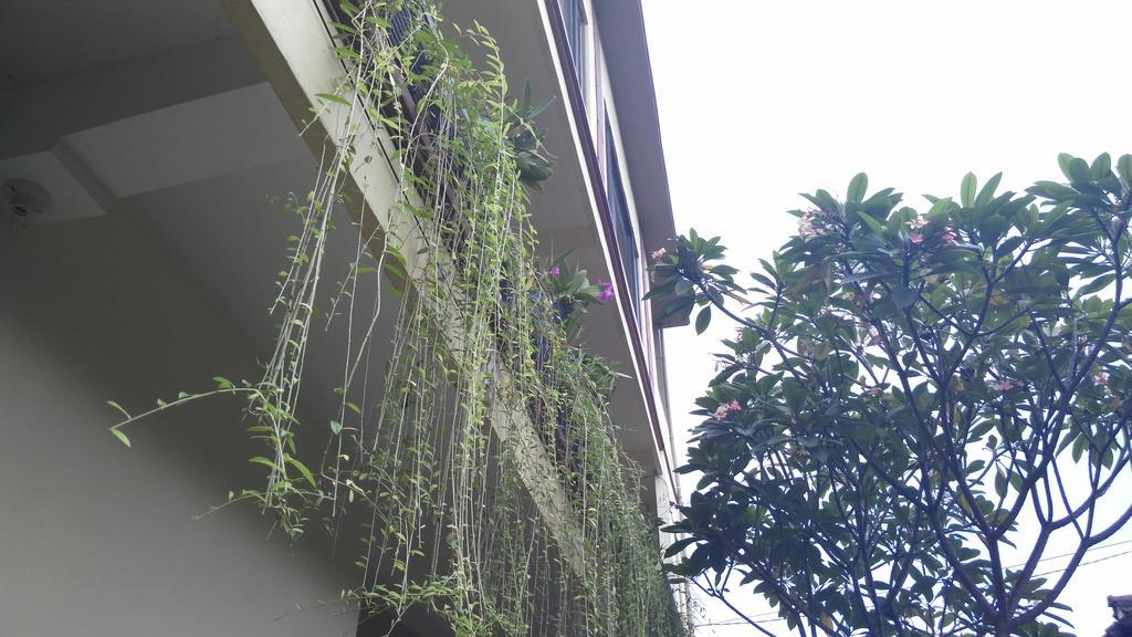 אובוד Nyoman Badri Homestay מראה חיצוני תמונה