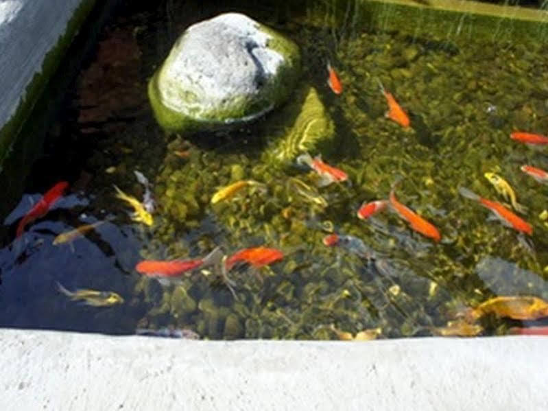 אובוד Nyoman Badri Homestay מראה חיצוני תמונה