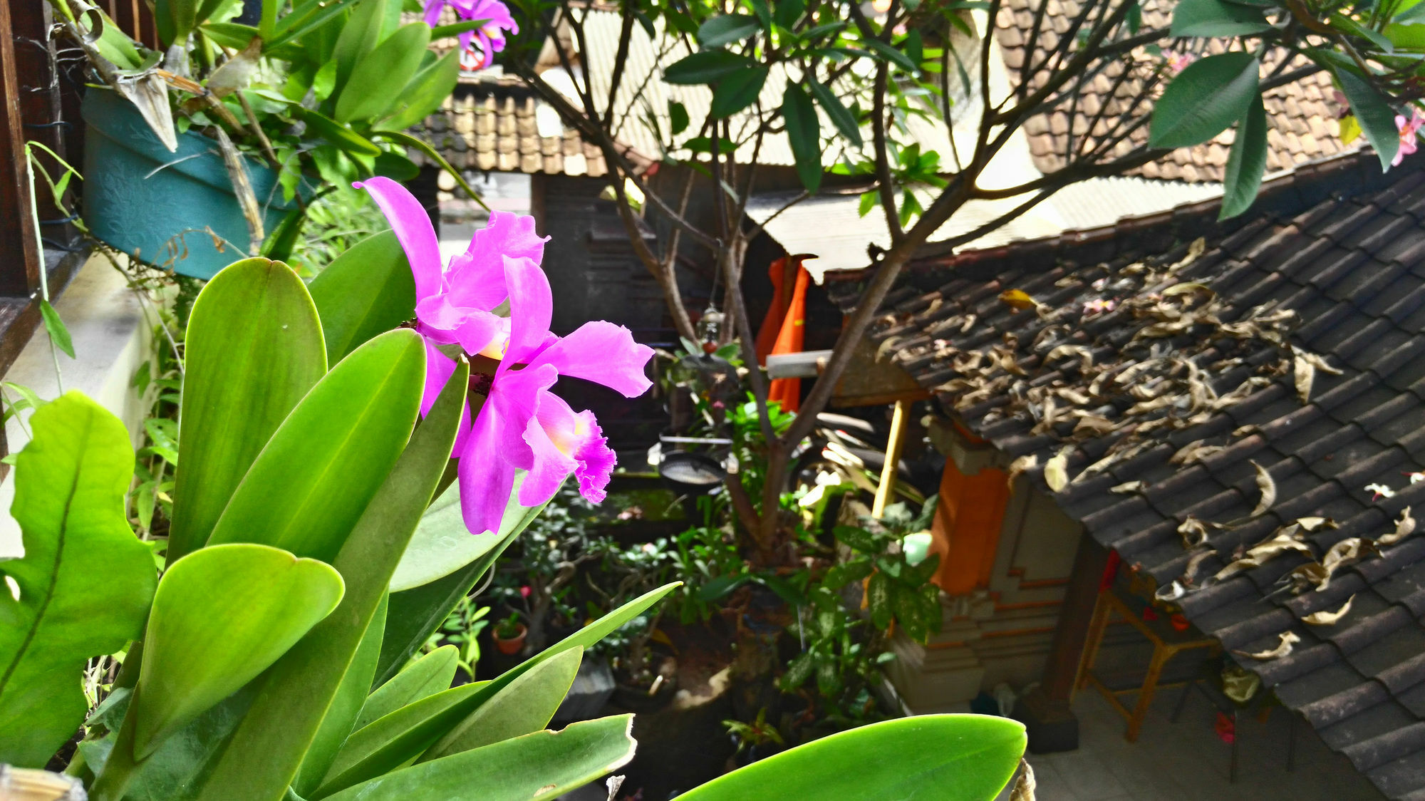 אובוד Nyoman Badri Homestay מראה חיצוני תמונה